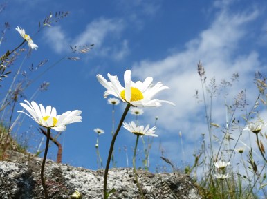 20140620_120117_Android