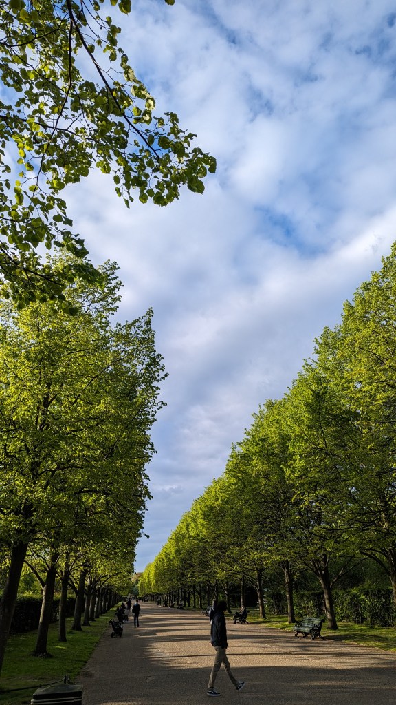 People walk along an avenue of trees in a park, with evening sunshine and clouds